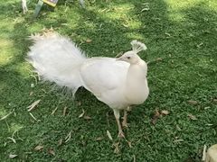 -昆明动物园