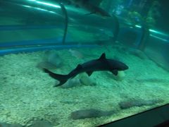 -福州罗源湾海洋世界旅游区