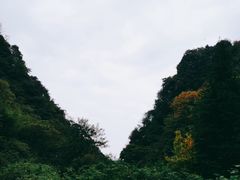 -龙窝子