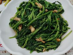 蒜蓉炒西洋菜-新辉港式茶餐厅(北栅店)