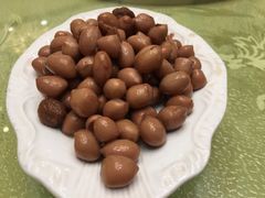 -清真·安乐园菜馆(茶南店)