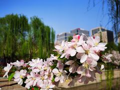 -海棠花溪(元大都城垣遗址公园)