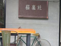 -猫里有甜