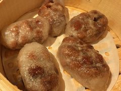 -MR鹅外