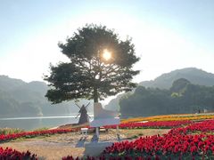 -广州市石门国家森林公园