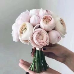 -蘭club婚礼策划