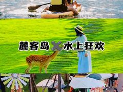 -虹口漂流