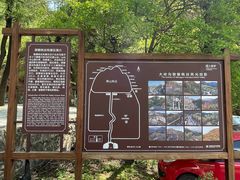 -大岭沟猕猴桃谷风景区