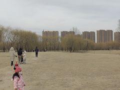 -东坝千亩湖公园