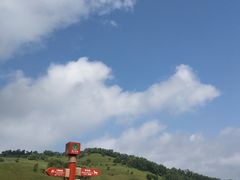 -关山草原