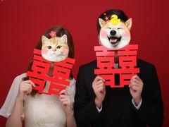 -bobo高端证件照工作室(三元桥店)