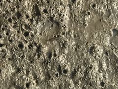 -北海金海湾红树林生态旅游区