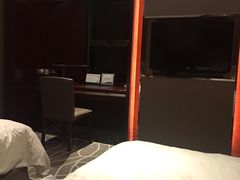 -常州环球恐龙城维景国际大酒店