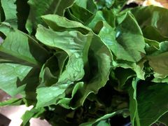 -探窝·竹笙椰子鸡(杨箕店)