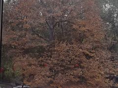 -翠茗农庄土菜馆(天目湖店)