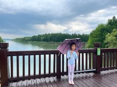 -苏州太湖国家湿地公园