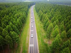 -塞罕坝国家级自然保护区