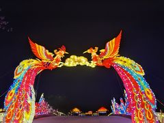 -台儿庄古城