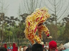 -武清南湖绿博园