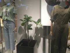 -银座mall(东直门店)