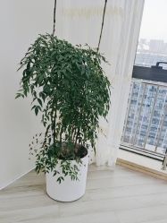-HEYAN荷妍专业脱毛连锁机构