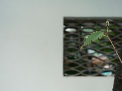 -慢丽江·云南野生菌土鸡锅(西山店)