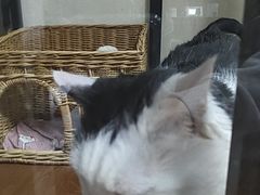 -全心全意动物诊疗中心医院(北苑店)