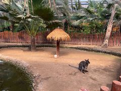-呀路古热带植物园