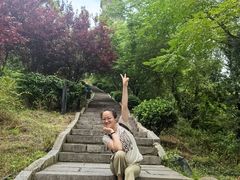-巢湖姥山岛