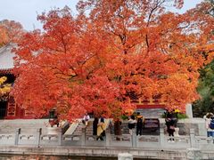 -香山公园