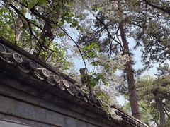 -承德避暑山庄景区