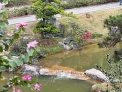 -东莞植物园
