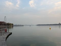 -金鸡湖景区