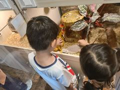 -杭州开元森泊度假乐园