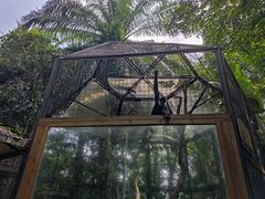 -海南热带野生动植物园
