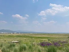 -敕勒川草原
