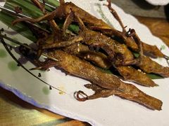 -质烤烤物·活烤海鲜(质烤总店)