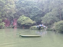 -灵栖洞天