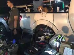 -席娜卡琳火车铁道夜市