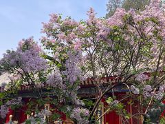-西安市广仁寺