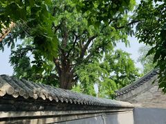 -北京凤凰岭
