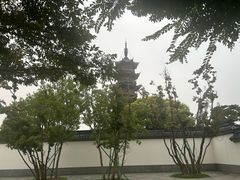 -龙华素斋(龙华路店)