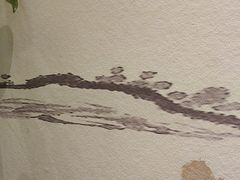 -蘇河湾·新鲁菜·泰山宴(泰山店)