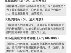 -日照海滨国家森林公园