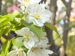 -元大都城垣遗址公园