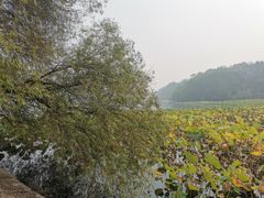 -东湖落雁景区