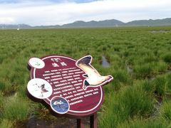 -花湖生态旅游区