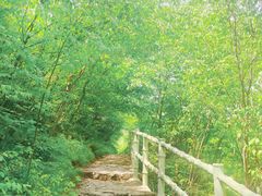 -孤山寨风景区