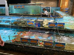 -顺风山庄(水濂山店)