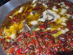 水煮乌江鱼-雲蜀龙阁·金牌水煮鱼(方庄店)